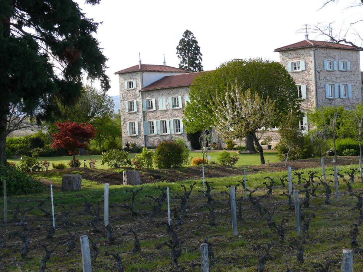 Chateau De Grandmont Chambres D'Hotes Blacé Εξωτερικό φωτογραφία