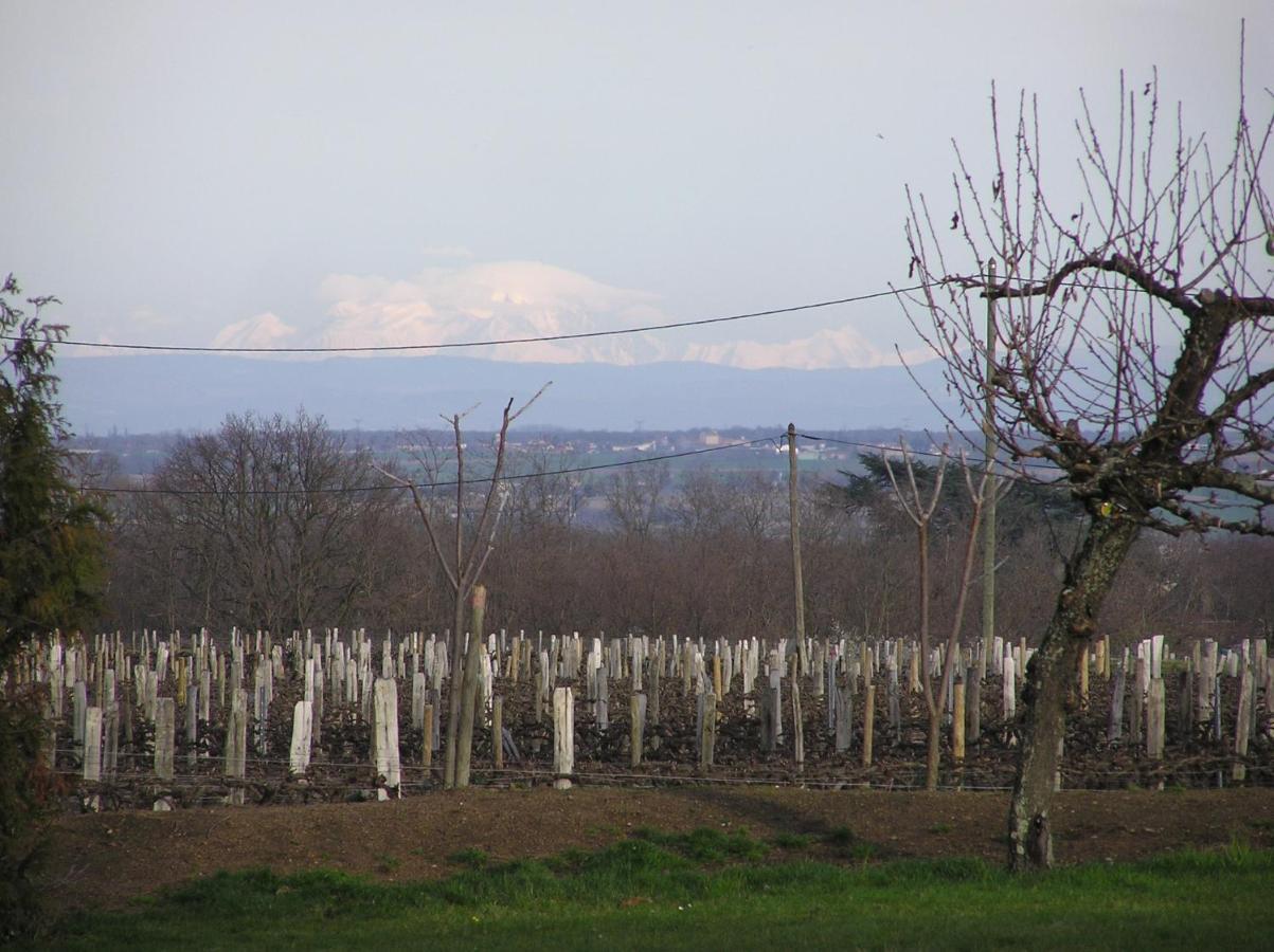 Chateau De Grandmont Chambres D'Hotes Blacé Εξωτερικό φωτογραφία