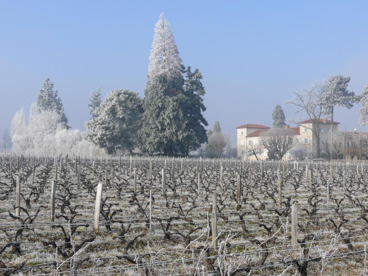 Chateau De Grandmont Chambres D'Hotes Blacé Εξωτερικό φωτογραφία